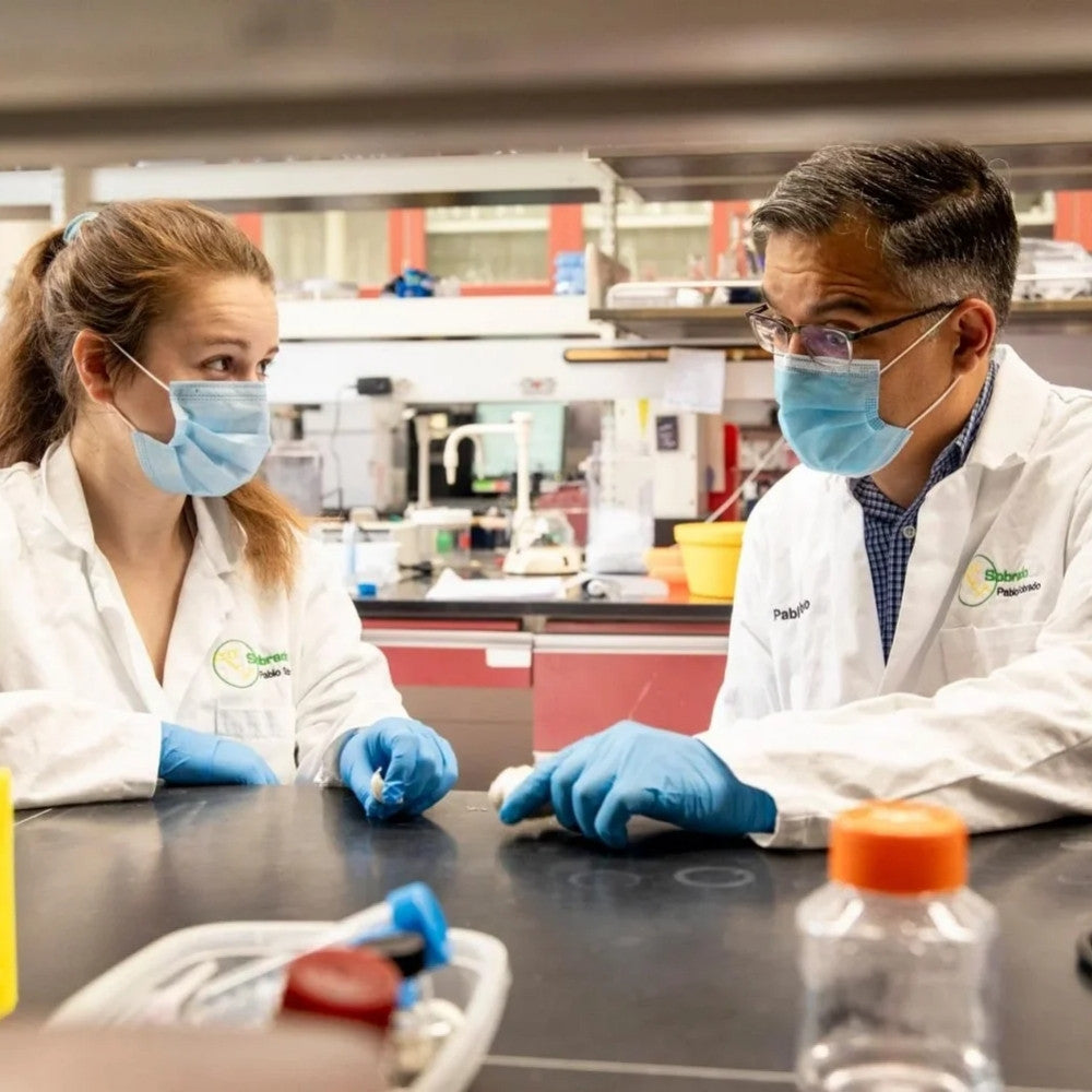 Researchers in a laboratory